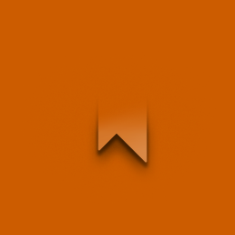 placeholder-image-square-bronsoranje